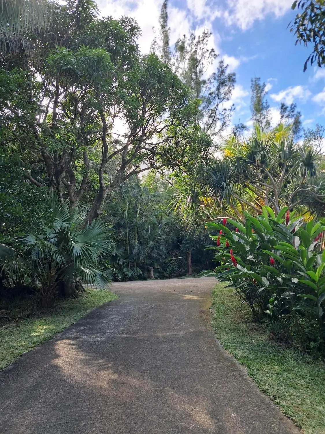 Le chemin qui traverse le jardin du Four à Pain