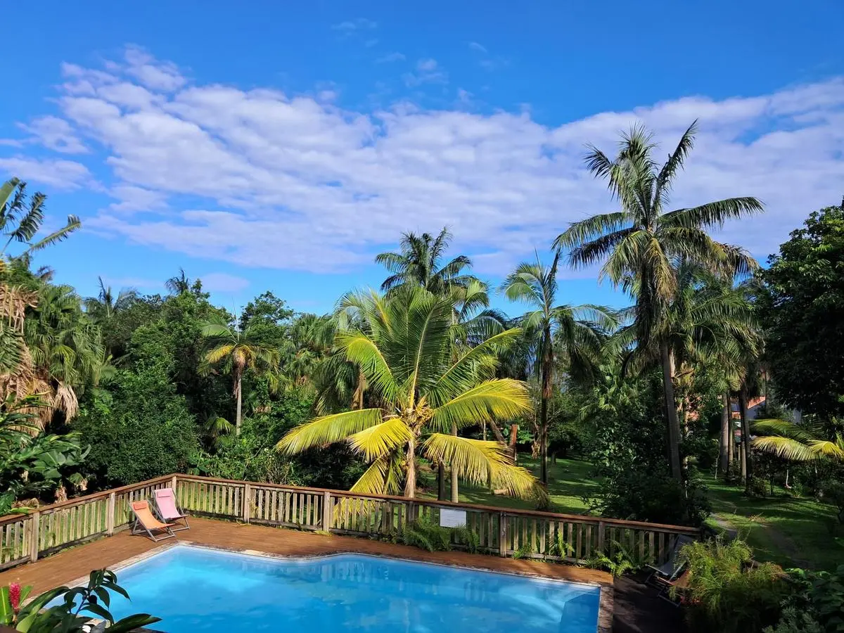 La piscine du Four à Pain entourée de palmiers