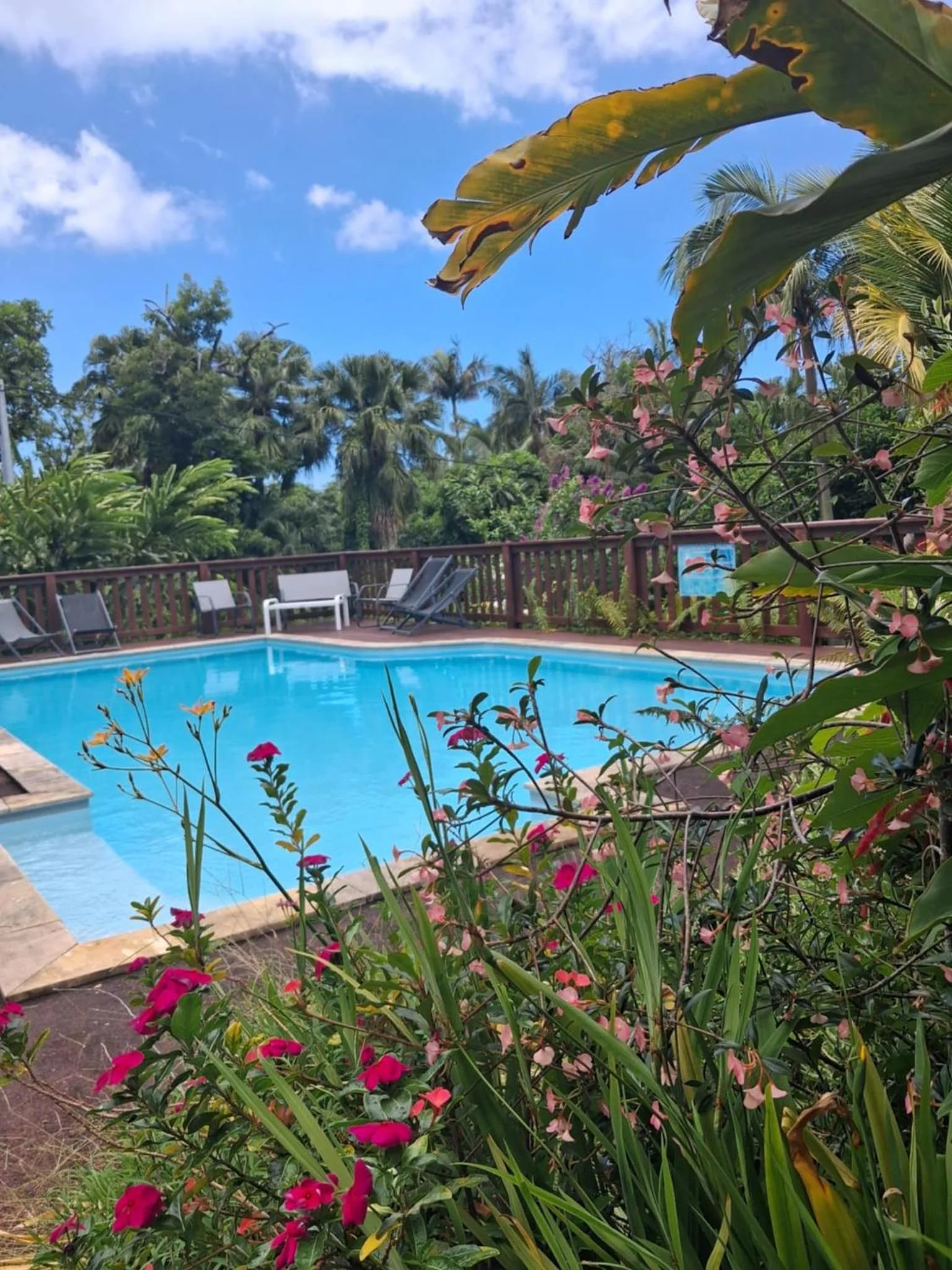 La piscine et les fleurs du jardin